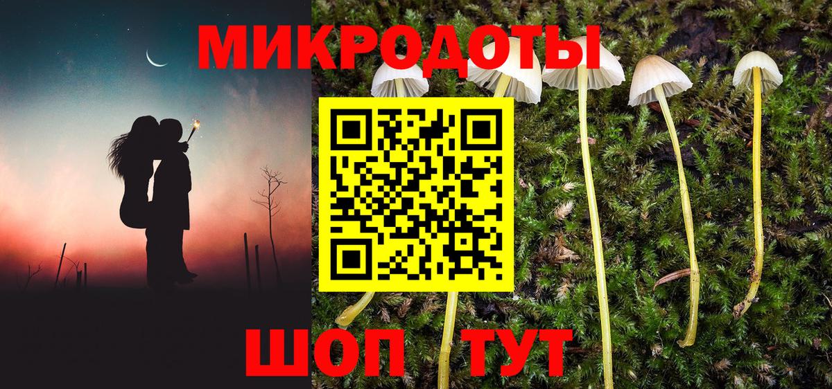 Псилоцибиновые грибы Psilocybe  Псилоцибиновые грибы Psilocybine cubensis  Вход с VPN  Рославль 
